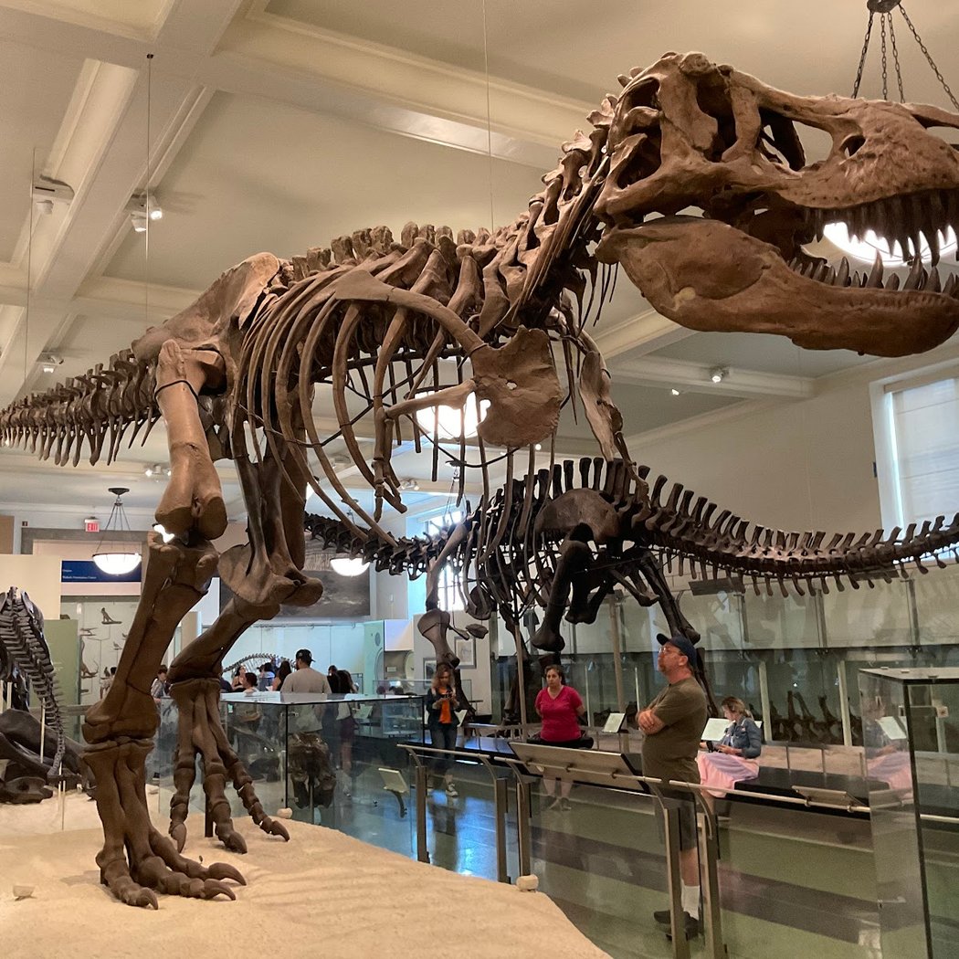 Dinosaur Adventure 2